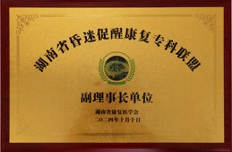 湖南省昏迷促醒康复专科联盟副理事长单位