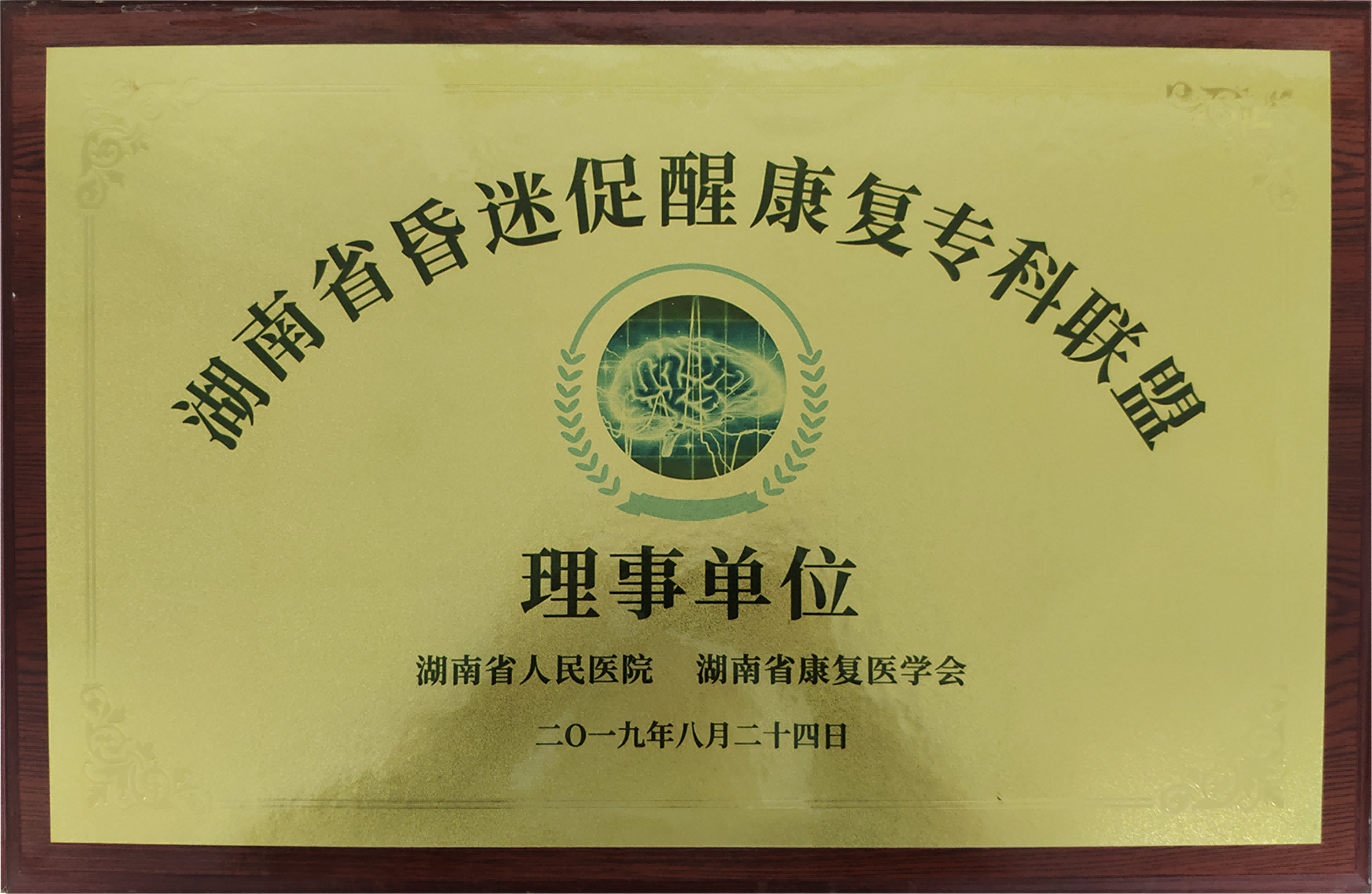 湖南省昏迷促醒康复专科联盟理事单位