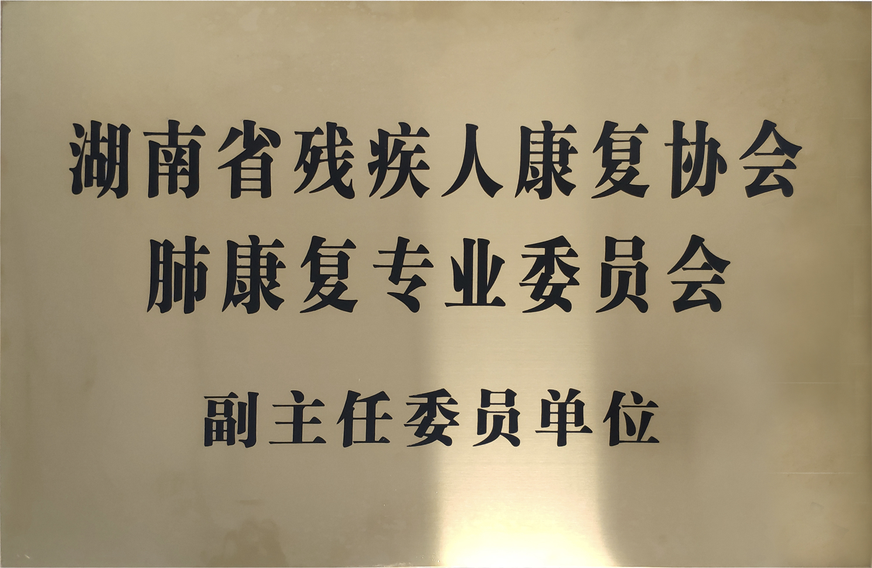 湖南省残疾人康复协会肺康复专业委员会副主任委员单位